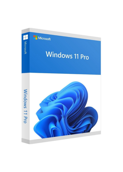 Windows 11 Professional Version
